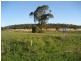 * Wattle & Waratah Streets, Gunnedah NSW 2380