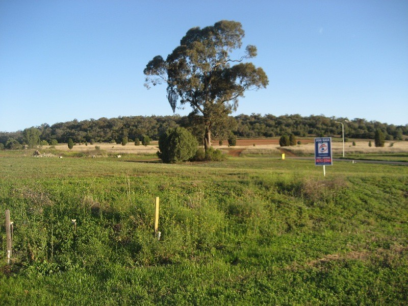 * Wattle & Waratah Streets, Gunnedah NSW 2380