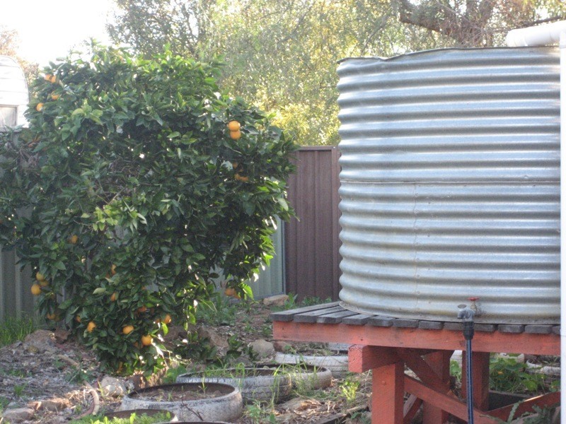 6 Herbert Street, Gunnedah NSW 2380