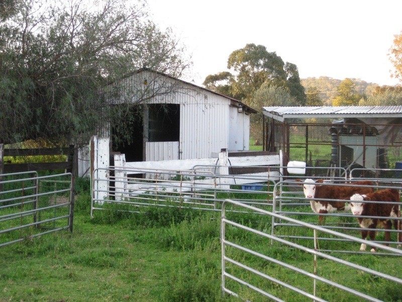 242 Greys Road, Spring Ridge NSW 2343