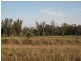 242 Greys Road, Spring Ridge NSW 2343