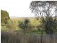242 Greys Road, Spring Ridge NSW 2343