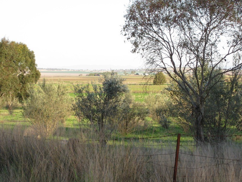 242 Greys Road, Spring Ridge NSW 2343