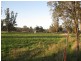 242 Greys Road, Spring Ridge NSW 2343