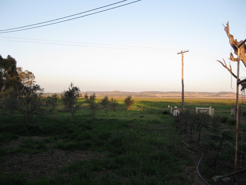 242 Greys Road, Spring Ridge NSW 2343