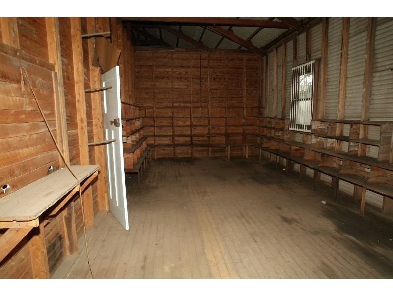 99 Barber Street, Gunnedah NSW 2380