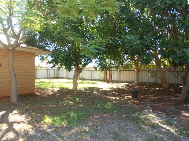 8 Birch Place, Baynton WA 6714