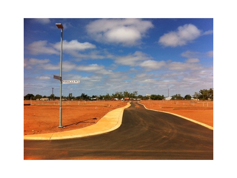 138 Hibiscus Way, Newman WA 6753