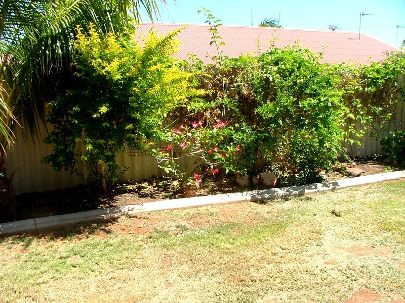 4 Sing Place, Pegs Creek WA 6714