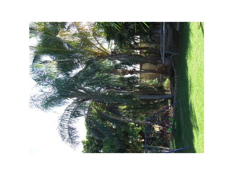 189 Lockyer Crescent, Dampier WA 6713