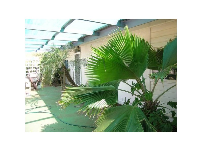 1 Cowan Road, Karratha WA 6714