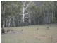 Oberon NSW 2787