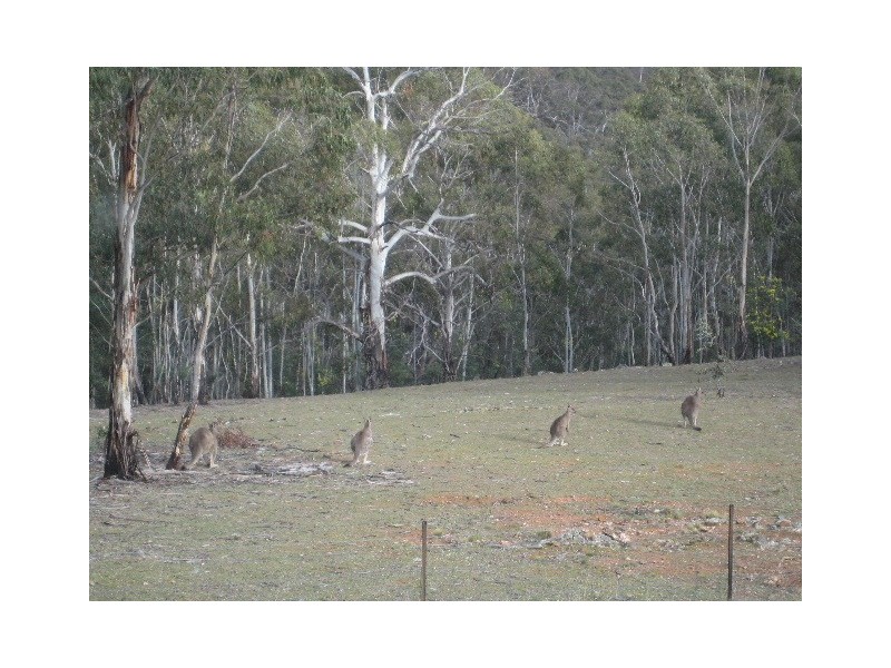 Oberon NSW 2787