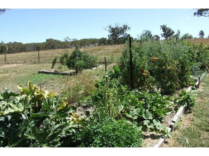 O’connell NSW 2795