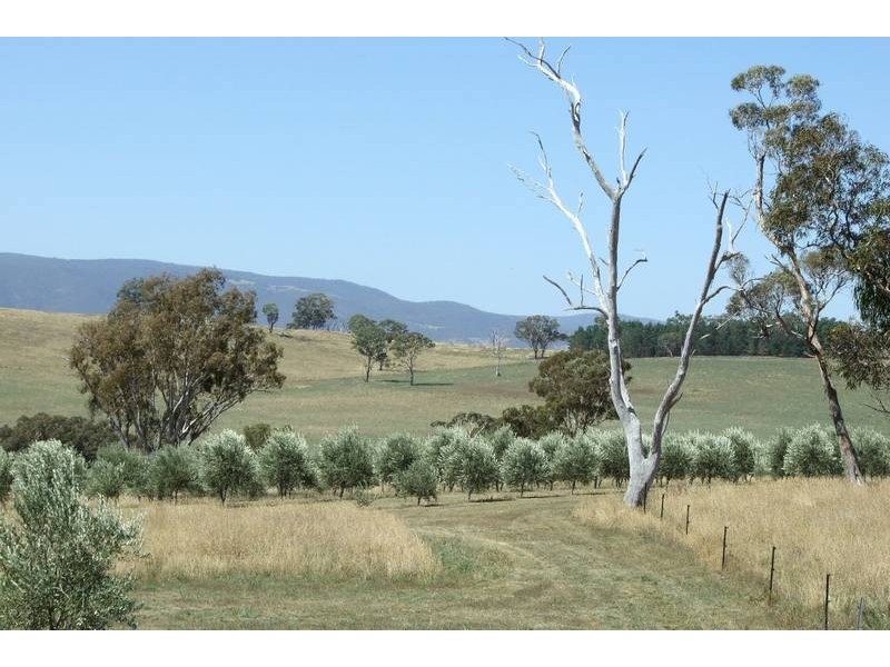 O’connell NSW 2795