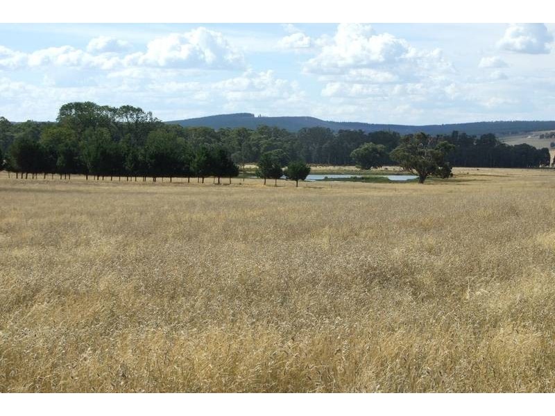 Burraga NSW 2795 the real estate agency Withdrawn