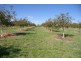 Oberon NSW 2787
