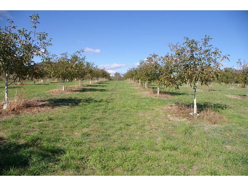 Oberon NSW 2787