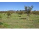 Oberon NSW 2787