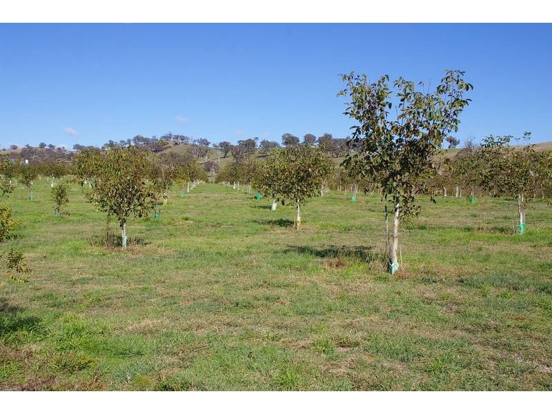 Oberon NSW 2787