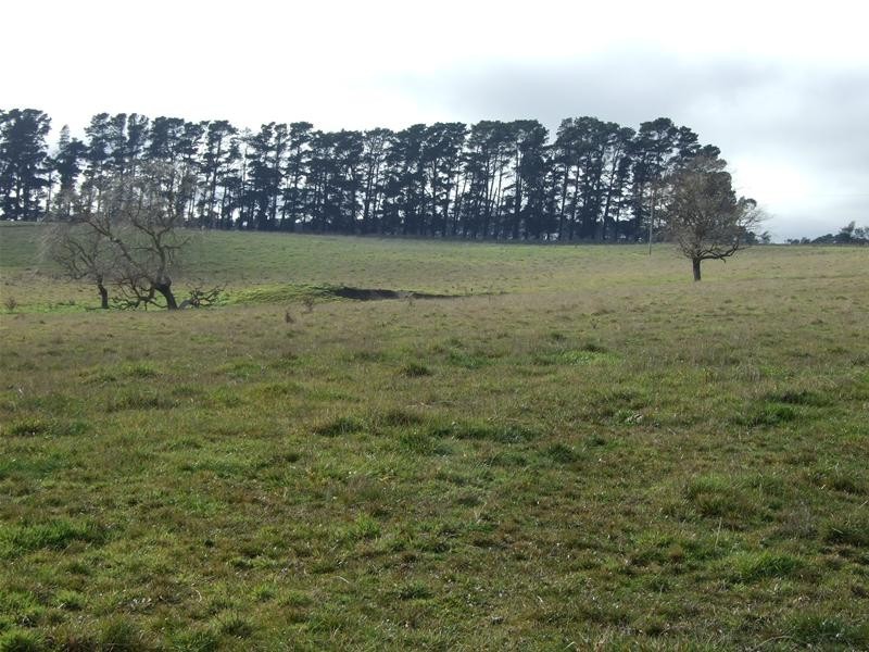 Oberon NSW 2787