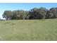 Meadow Flat NSW 2795