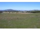 Meadow Flat NSW 2795