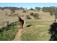 Porters Retreat NSW 2787