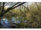 Oberon NSW 2787