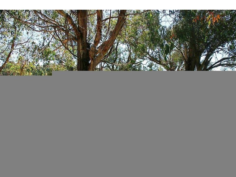 Oberon NSW 2787