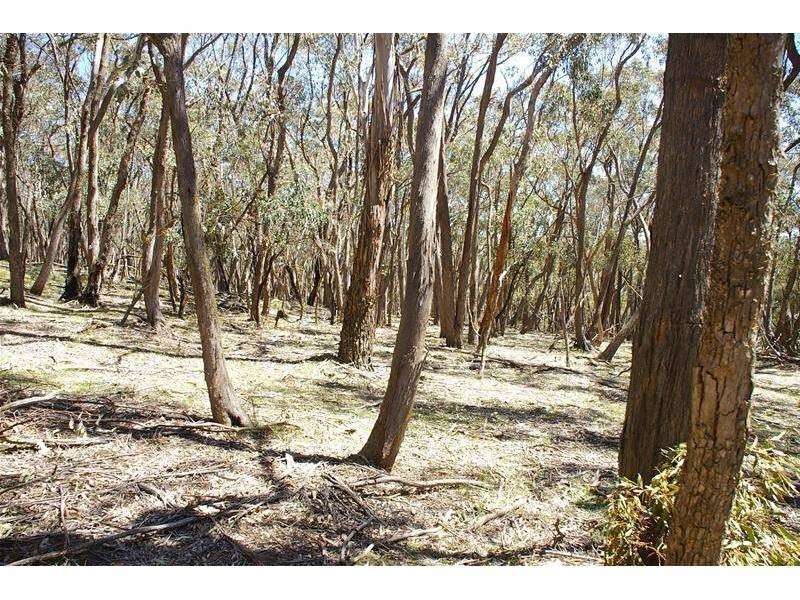 Oberon NSW 2787