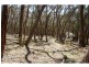 Oberon NSW 2787