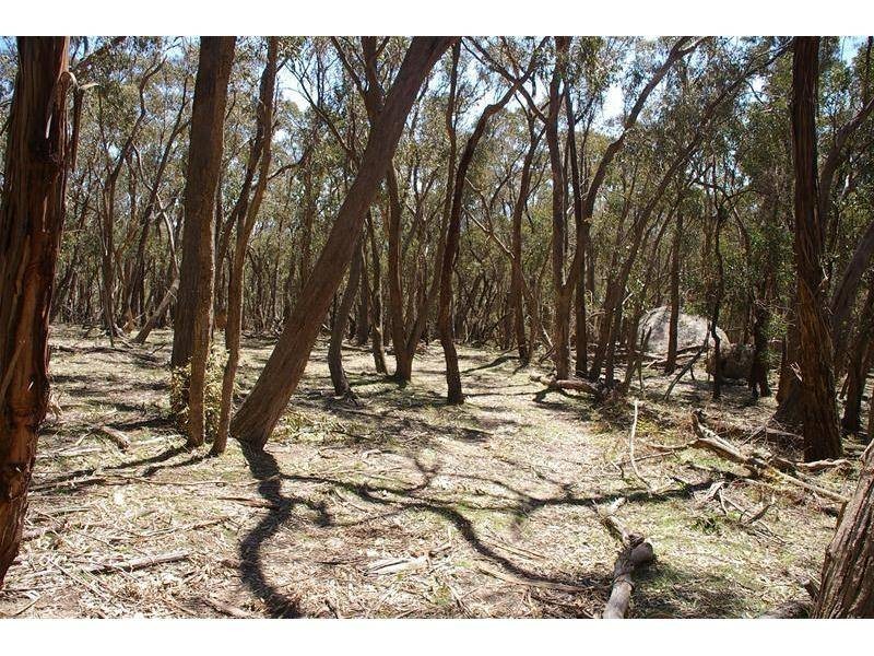 Oberon NSW 2787