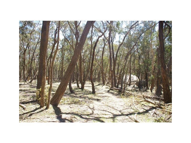 Oberon NSW 2787