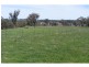 Black Springs NSW 2787