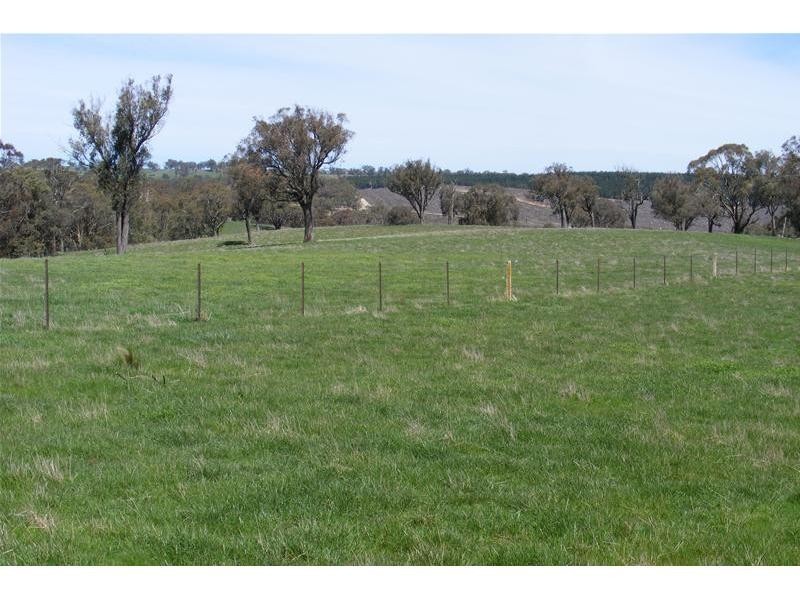 Black Springs NSW 2787