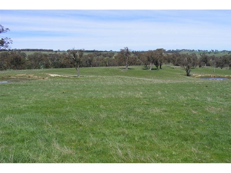 Black Springs NSW 2787
