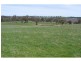 Black Springs NSW 2787