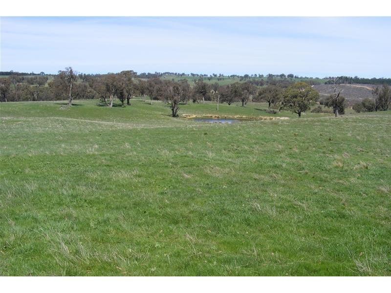 Black Springs NSW 2787