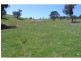 Black Springs NSW 2787