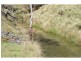 Black Springs NSW 2787