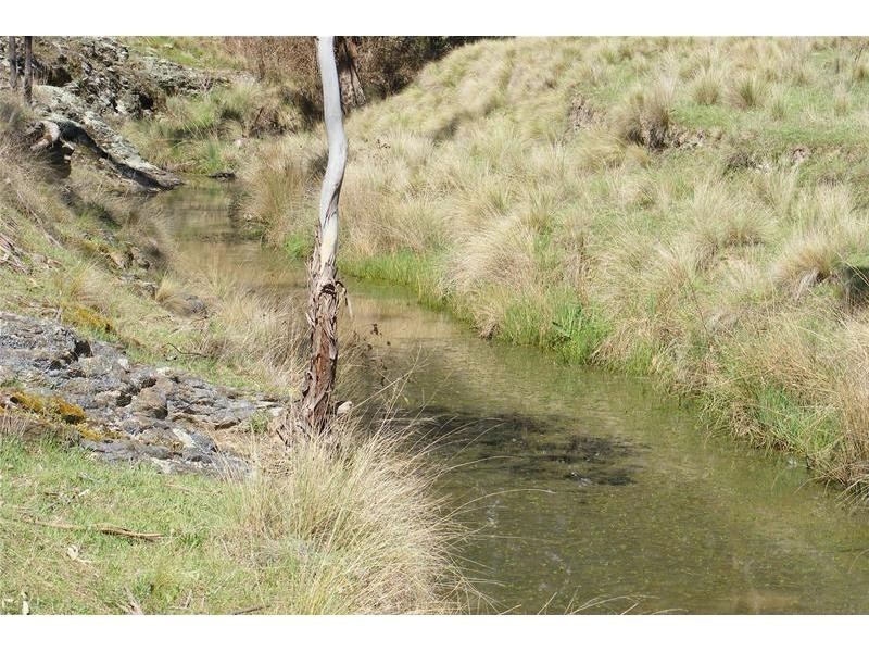 Black Springs NSW 2787