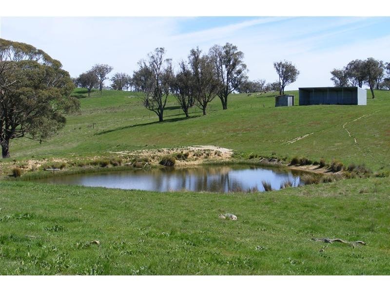 Black Springs NSW 2787
