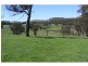 Black Springs NSW 2787
