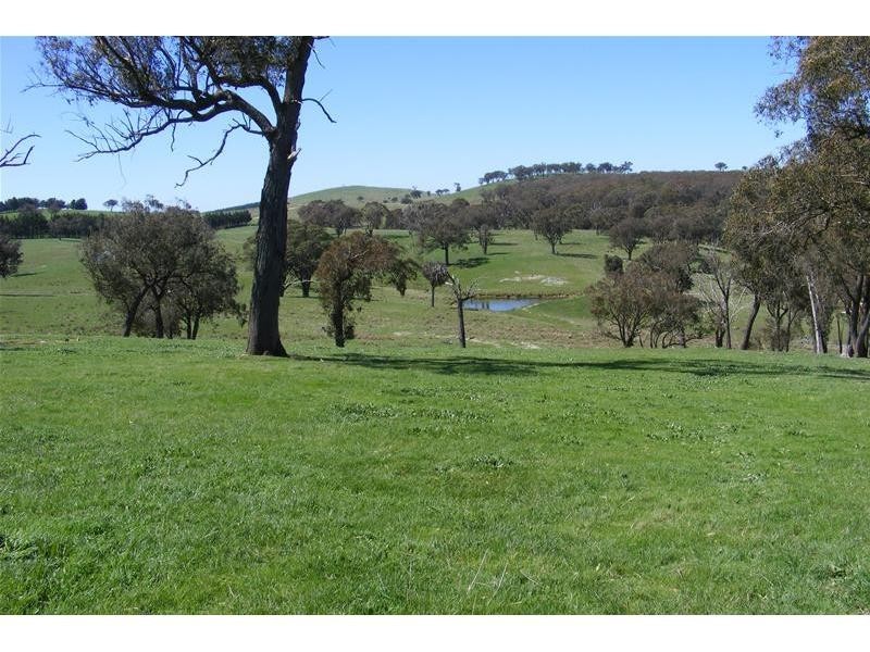 Black Springs NSW 2787