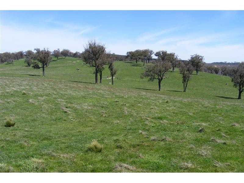 Black Springs NSW 2787