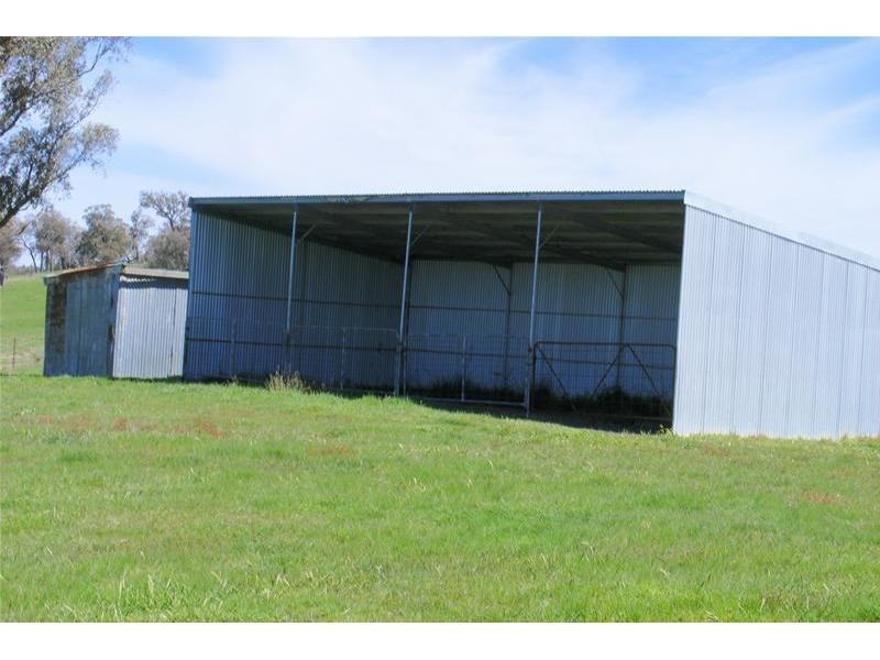 Black Springs NSW 2787