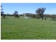 Black Springs NSW 2787
