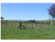 Black Springs NSW 2787
