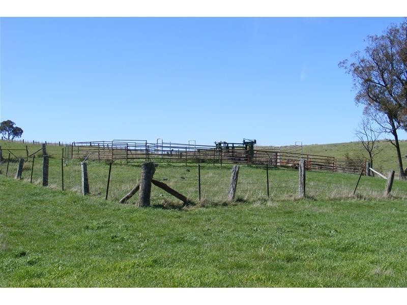 Black Springs NSW 2787